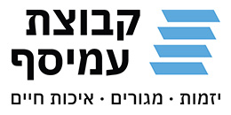 Amisaf Group